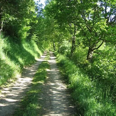 Lozere St Alban Aubrac Margeride 4 Etoiles 8 Personnes Au Calme Pres Nature
