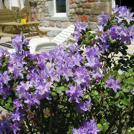 Lozere St Alban Aubrac Margeride 4 Etoiles 8 Personnes Au Calme Pres Nature Vakantiehuis *