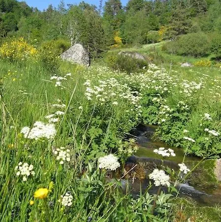 Lozere St Alban Aubrac Margeride 4 Etoiles 8 Personnes Au Calme Pres Nature *
