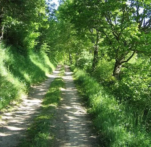 Lozere St Alban Aubrac Margeride 4 Etoiles 8 Personnes Au Calme Pres Nature