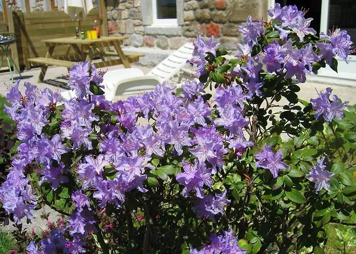 Lozere St Alban Aubrac Margeride 4 Etoiles 8 Personnes Au Calme Pres Nature Nyaraló *