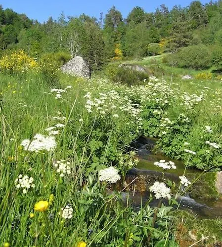 Lozere St Alban Aubrac Margeride 4 Etoiles 8 Personnes Au Calme Pres Nature *